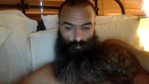 woof_wolf37 online show from 02/19/26, 04:03