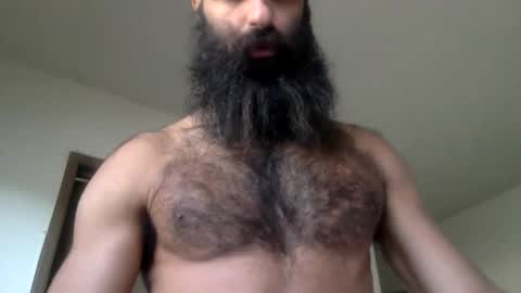 woof_wolf37 online show from 04/15/26, 03:52