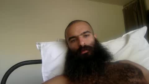 woof_wolf37 online show from 04/23/26, 04:31