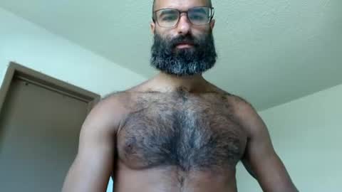 woof_wolf37 online show from 07/23/26, 04:49