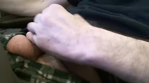 wrangleat0r online show from 01/30/25, 01:33