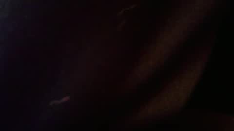 wrangleat0r online show from 02/12/26, 02:50