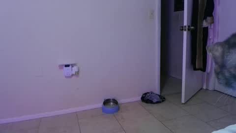 Crystal Lake online show from 11/30/25, 05:22