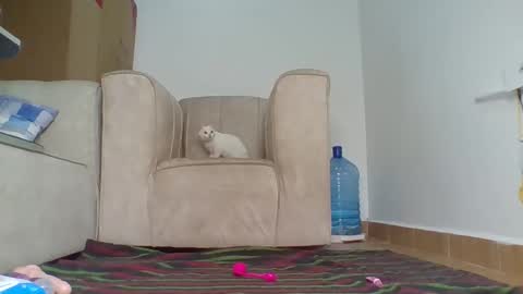 Barbie online show from 10/04/25, 12:47