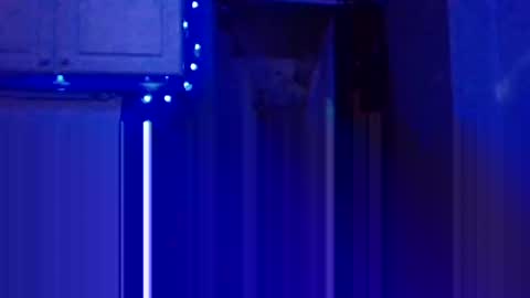 BONER DONOR online show from 01/05/25, 07:28