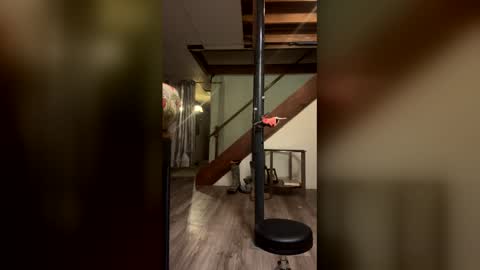 Snapshot of wyattmcc32288 chatting on 03/02/26, 08:10 wyattmcc32288 online show from 03/02/26, 08:10