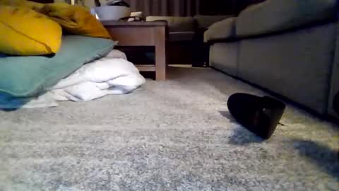 Snapshot of wyndir chatting on 11/15/25, 07:32 wyndir online show from 11/15/25, 07:32