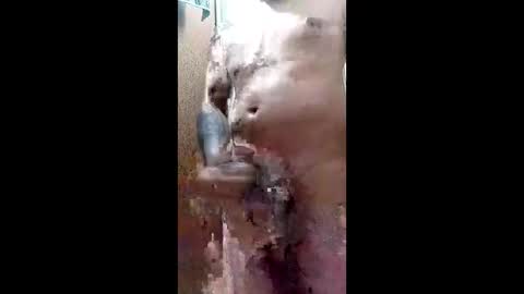 Blk online show from 03/29/26, 11:38