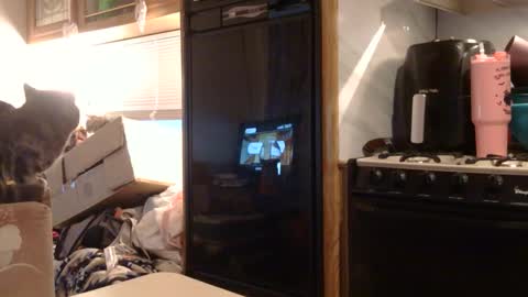 x2kayx2 online show from 02/03/26, 01:05