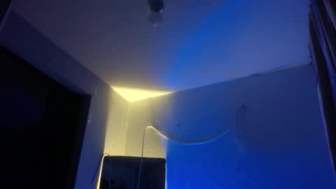 Snapshot of xalejo_max chatting on 11/12/25, 12:11 xalejo_max online show from 11/12/25, 12:11