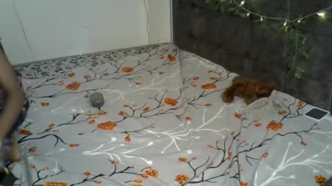 Alexa online show from 11/17/25, 02:23