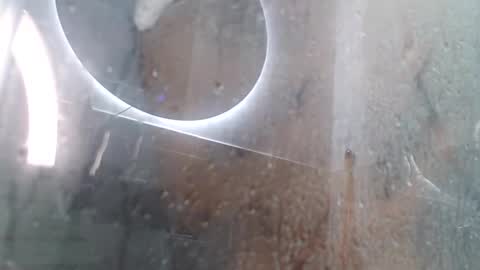 Snapshot of xandressex chatting on 02/03/25, 11:42 Andres online show from 02/03/25, 11:42