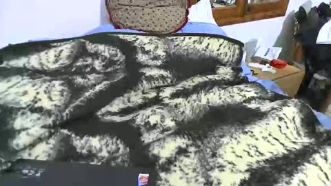 xaxi3 online show from 01/10/26, 11:31