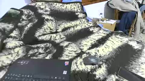 xaxi3 online show from 03/15/26, 03:45