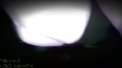 Snapshot of xbalam chatting on 07/28/26, 03:21 Mr Balax online show from 07/28/26, 03:21