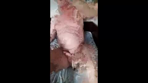 Slava online show from 03/29/26, 11:49