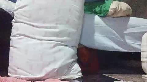 xhotskinny69x online show from 03/05/25, 10:21