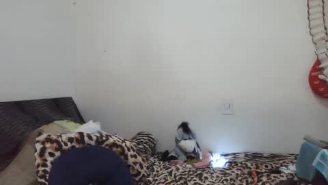 Snapshot of xime5144838 chatting on 02/17/25, 10:14 Ximena online show from 02/17/25, 10:14