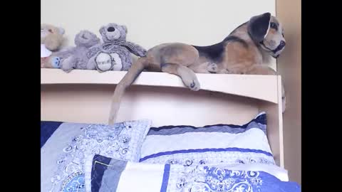 Snapshot of xindianillusion44 chatting on 02/06/26, 11:24 Miss Ria online show from 02/06/26, 11:24