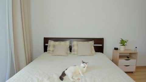 Chloe online show from 06/18/26, 11:03