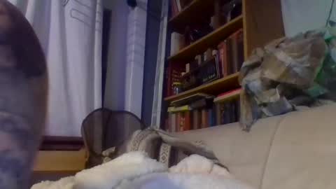 John online show from 12/17/24, 11:16