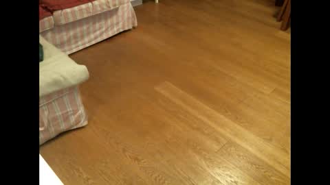 Snapshot of xmystiqdreamsx chatting on 01/26/25, 12:01 xmystiqdreamsx online show from 01/26/25, 12:01