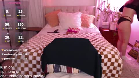 Snapshot of xo_sadie chatting on 01/31/25, 08:32 Xo Sadie online show from 01/31/25, 08:32