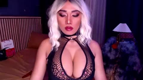 cinddy online show from 11/19/25, 06:19