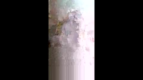 xxjessiebugxx online show from 05/14/26, 02:29
