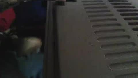 Sean online show from 05/16/26, 03:00