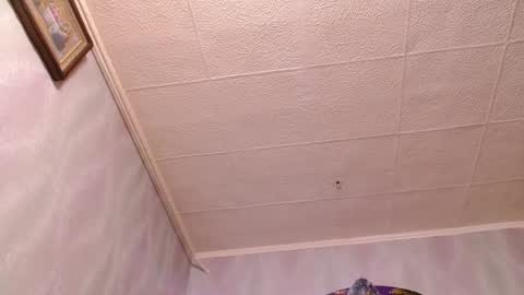 isa and gonzo online show from 12/20/24, 11:54