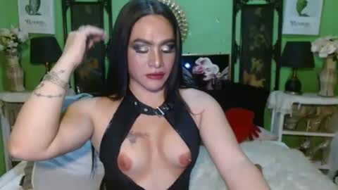 PAMPAM online show from 04/07/26, 06:08