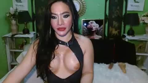 PAMPAM online show from 04/23/26, 08:46