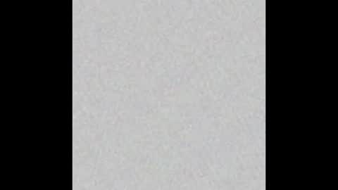 ScubaSteve online show from 03/09/25, 09:57