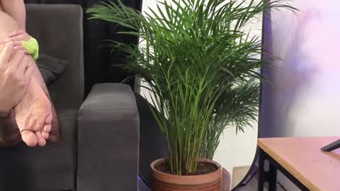 Snapshot of xxxvandersexxx chatting on 02/04/25, 08:49 July and Fer online show from 02/04/25, 08:49