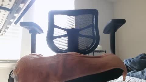 Snapshot of yahbuddy chatting on 10/03/25, 07:55 yahbuddy online show from 10/03/25, 07:55