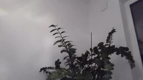 yakijoe online show from 10/22/25, 10:09