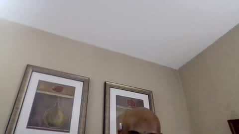 YallFav0rit3couple online show from 04/08/26, 04:45