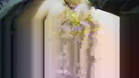 yangolox3 online show from 11/14/25, 03:55