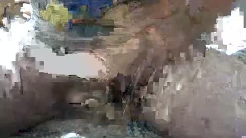 Snapshot of yankee85 chatting on 10/06/25, 05:38 Yankee online show from 10/06/25, 05:38