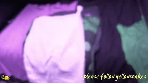 .     y e l l o w s n a k e s       . online show from 12/17/25, 11:27