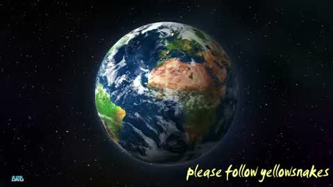 .     y e l l o w s n a k e s       . online show from 12/22/25, 02:25