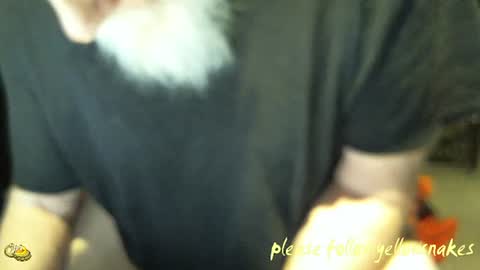 Snapshot of yellowsnakes chatting on 01/14/26, 01:50 . y e l l o w s n a k e s . online show from 01/14/26, 01:50