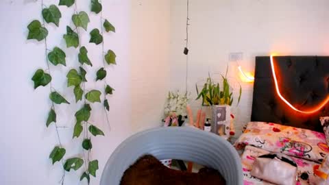 Snapshot of yemfairymcry chatting on 06/10/26, 03:55 YEM online show from 06/10/26, 03:55