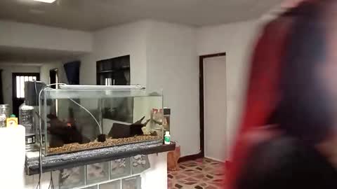 Snapshot of yesika_t chatting on 01/09/26, 05:48 yesika_t online show from 01/09/26, 05:48