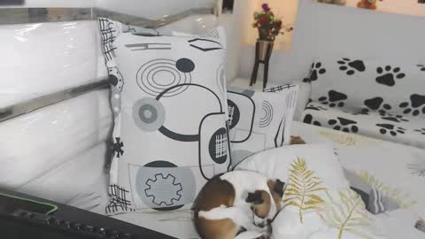 YINAROSS online show from 03/27/26, 09:03