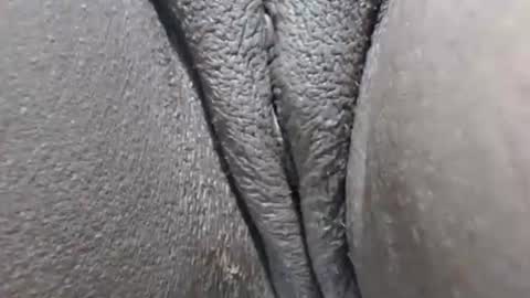 yirily online show from 03/21/26, 05:34