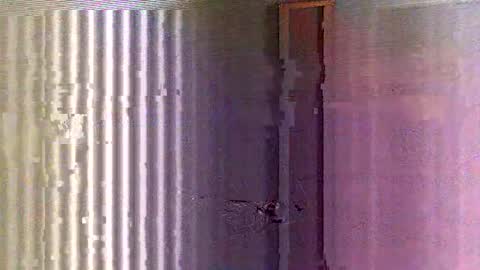 yorel64 online show from 02/16/25, 06:10