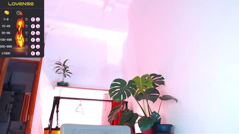 Enzo online show from 01/06/25, 03:09