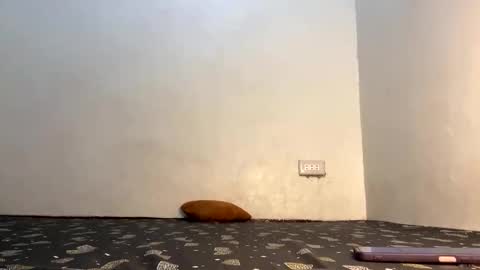 fin online show from 04/21/26, 06:09